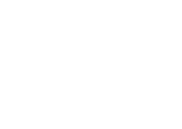Gary Sinise Foundation